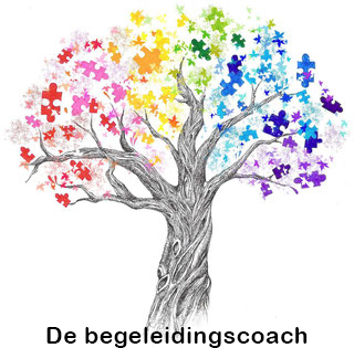 De begeleidingscoach
